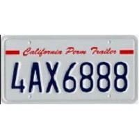 Permanent trailer license plate